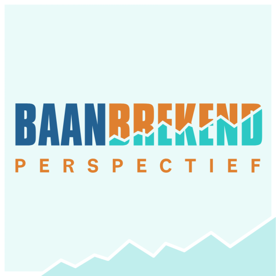 Afbeelding Publicatie Baanbrekend Perspectief - het experiment